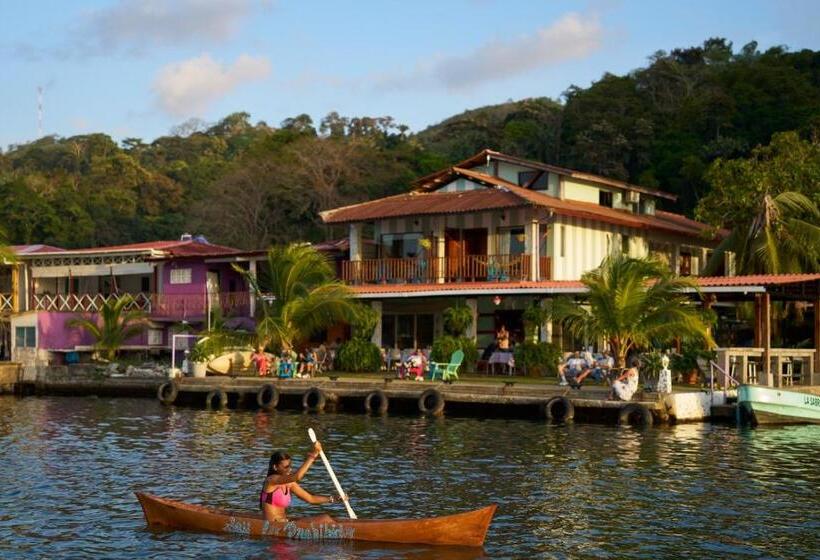 خانه 1 خوابه, Casa Congo & Casa Rayo Verde   Restaurante   Galeria De Arte