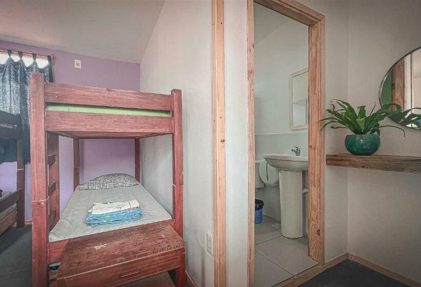 تختخواب در اتاق مشترک, Compay Hostel La Pedrera