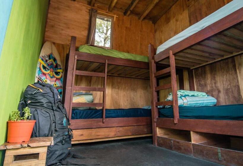تختخواب در اتاق مشترک, Compay Hostel La Pedrera