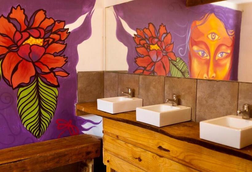 اتاق استاندارد با سرویس بهداشتی مشترک, Compay Hostel La Pedrera