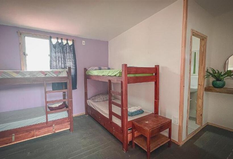 اتاق استاندارد چهار تخته, Compay Hostel La Pedrera
