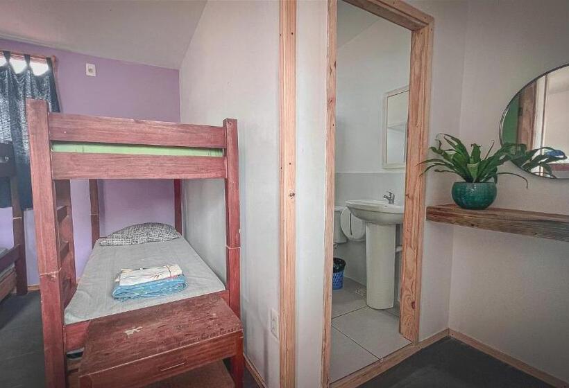اتاق استاندارد چهار تخته, Compay Hostel La Pedrera