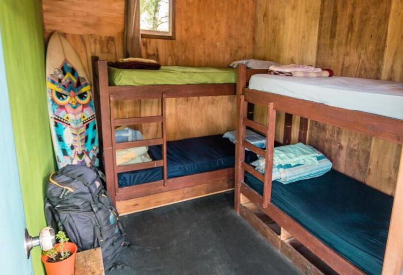 اتاق استاندارد سه تخته با سرویس بهداشتی مشترک, Compay Hostel La Pedrera