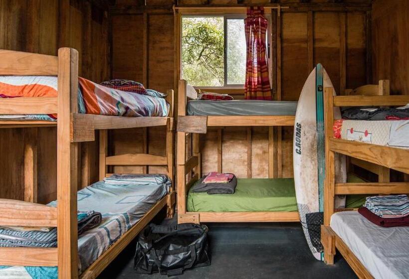 اتاق استاندارد سه تخته با سرویس بهداشتی مشترک, Compay Hostel La Pedrera
