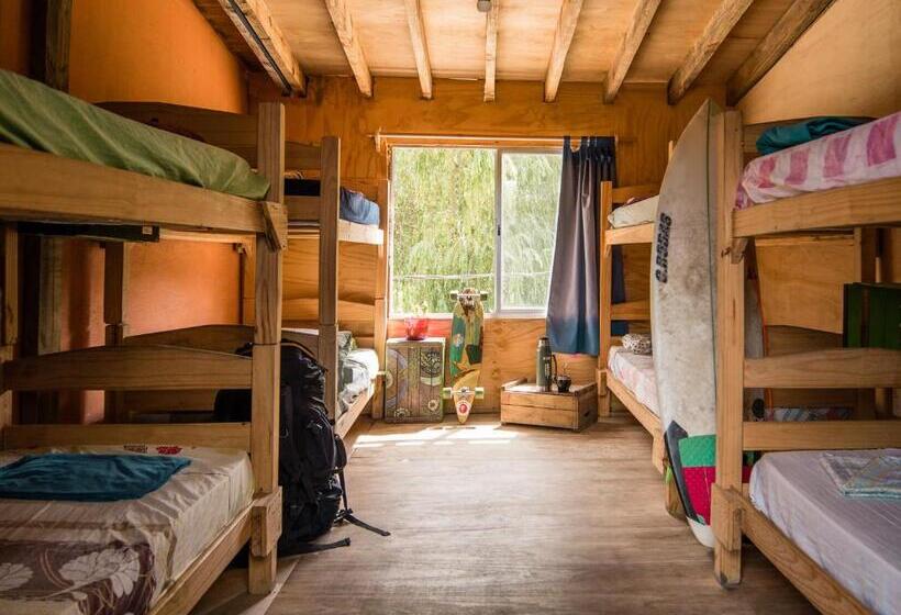 تختخواب در اتاق مشترک, Compay Hostel La Pedrera