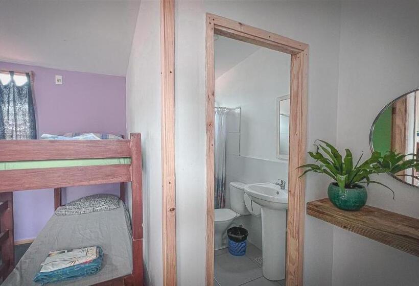 اتاق استاندارد, Compay Hostel La Pedrera