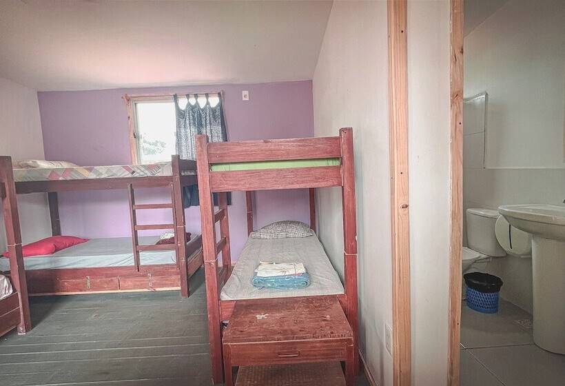 تختخواب در اتاق مشترک, Compay Hostel Punta Del Diablo