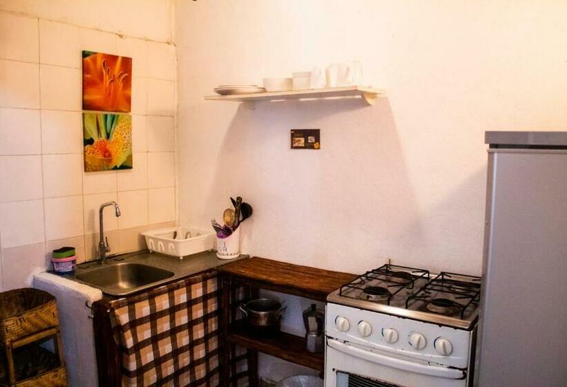 استودیوی استاندارد, San Carlos Beach Inn