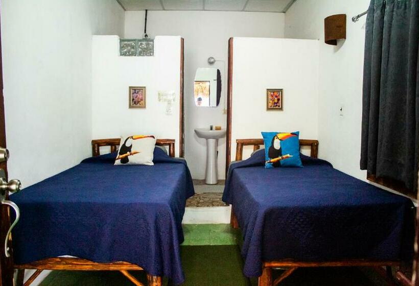 اتاق اکونومی, San Carlos Beach Inn