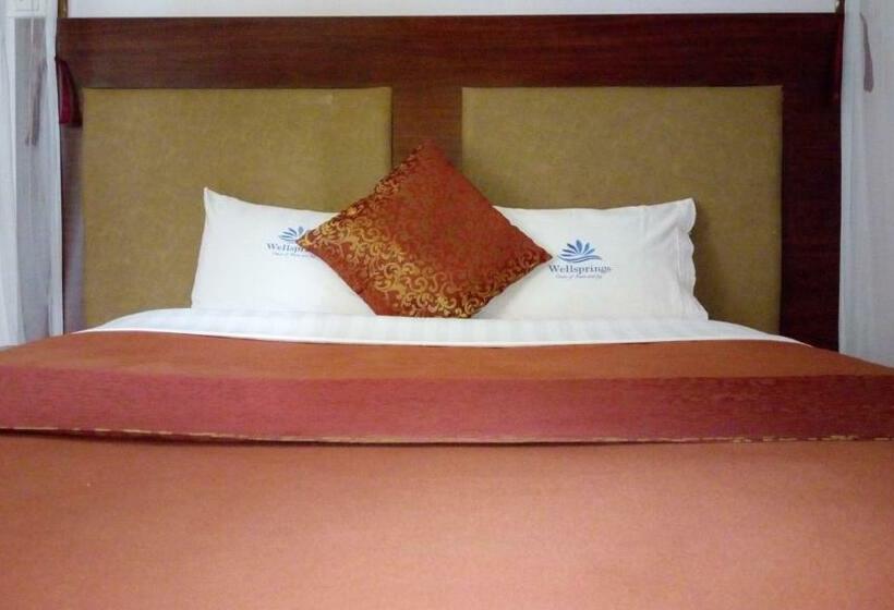 اتاق لوکس یک تخته, Wellsprings