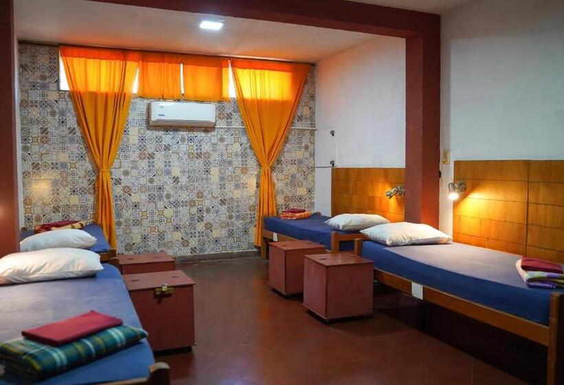 تختخواب در اتاق مشترک, Nomada Hostel