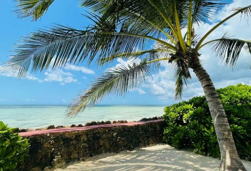 اتاق لوکس, Palumboreef Beach Resort