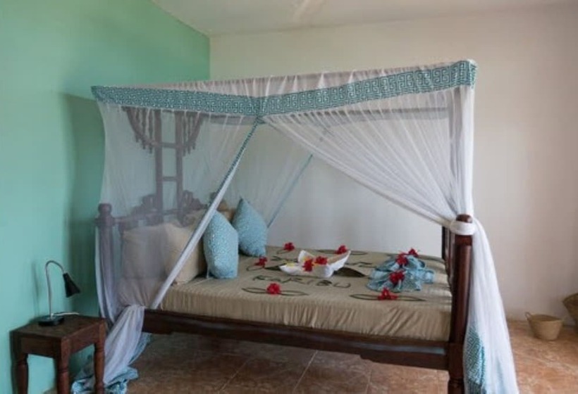 سوییت خانوادگی, Reef & Beach Resort   Spa Jambiani