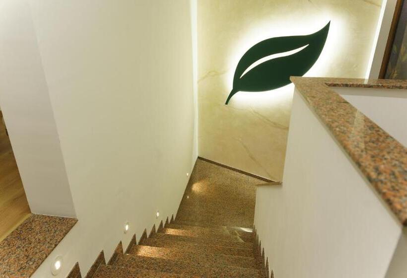 اتاق استاندارد سه نفره, Camp Karagaq