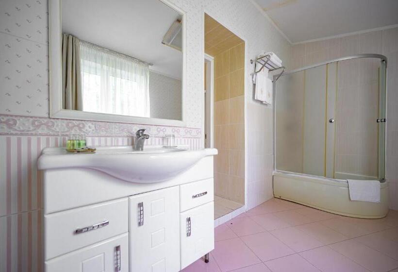 اتاق استاندارد سه نفره, Gostiniy Dvor