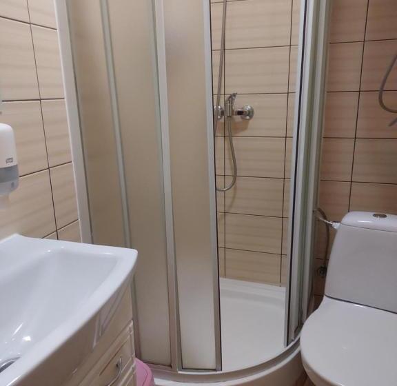 اتاق استاندارد, Urochyshe Vyshnya