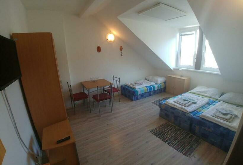 آپارتمان عادی 1 خوابه, Kv Apartmans Varšavská