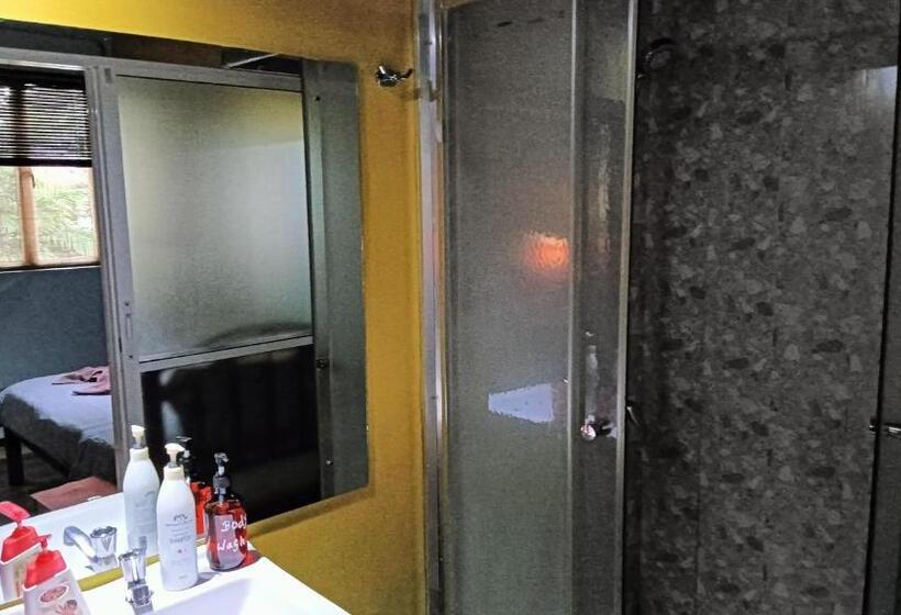 اتاق اکونومی یک تخته, Palms Villa