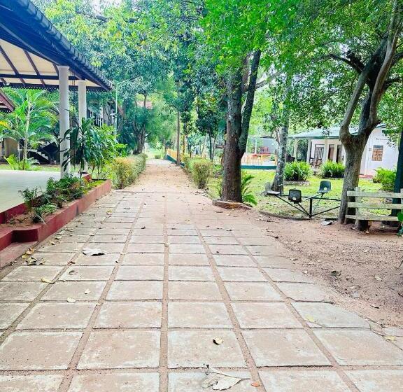 اتاق استاندارد با چشم‌انداز باغ, Jc S Village