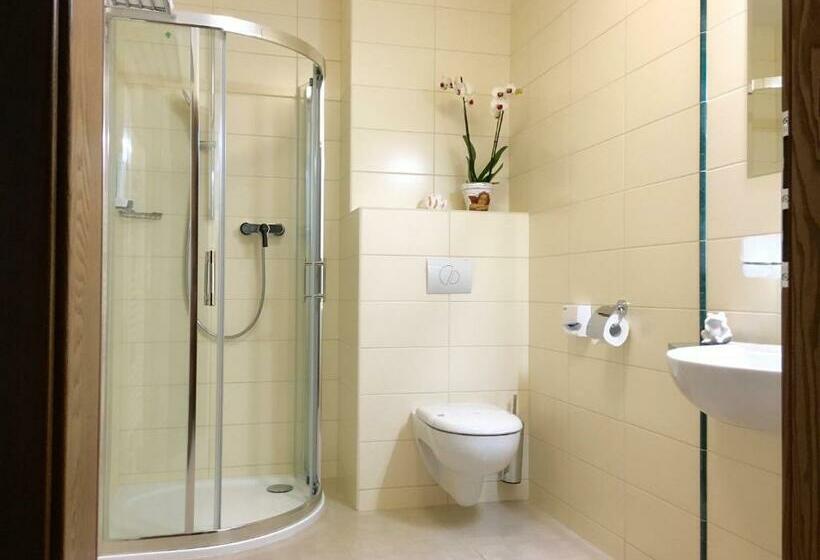 اتاق استاندارد یک نفره, Parkhotel Forest