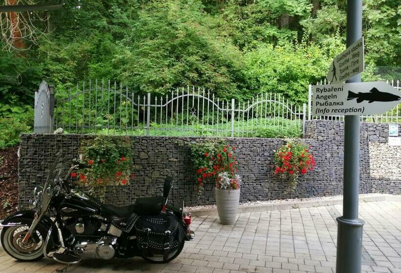 اتاق استاندارد, Parkhotel Forest