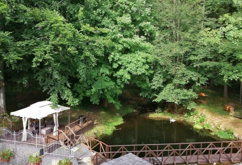 اتاق استاندارد, Parkhotel Forest