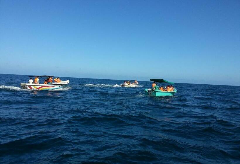 اتاق استاندارد با چشم‌انداز استخر, Solomon Beach