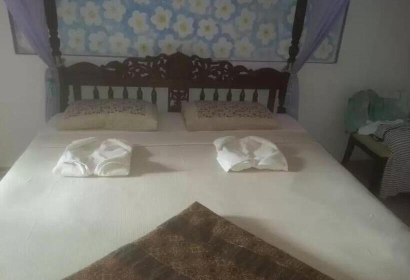 اتاق استاندارد با چشم‌انداز استخر, Solomon Beach