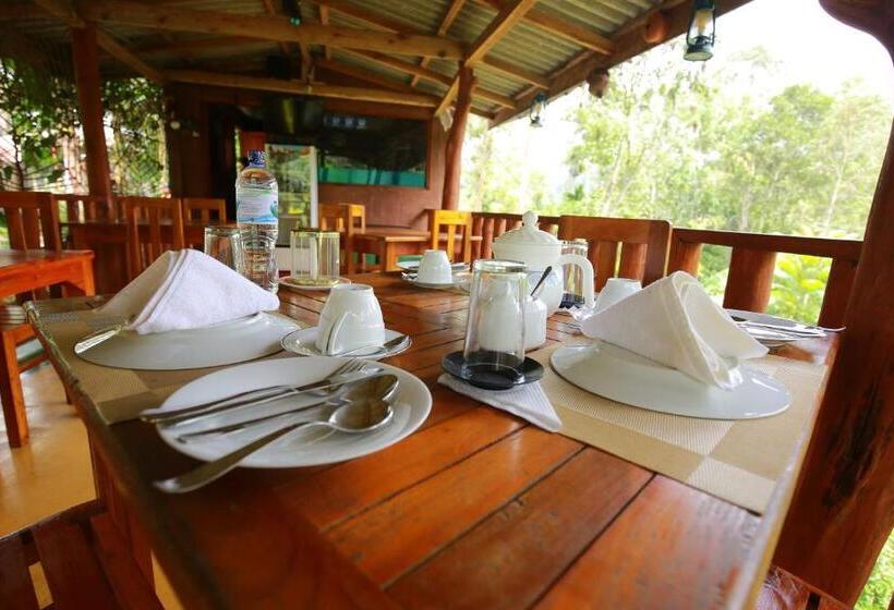 اتاق استاندارد با چشم‌انداز باغ, Tea Forest Lodge