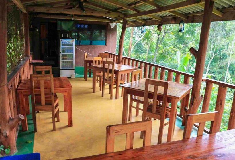 اتاق استاندارد با چشم‌انداز باغ, Tea Forest Lodge