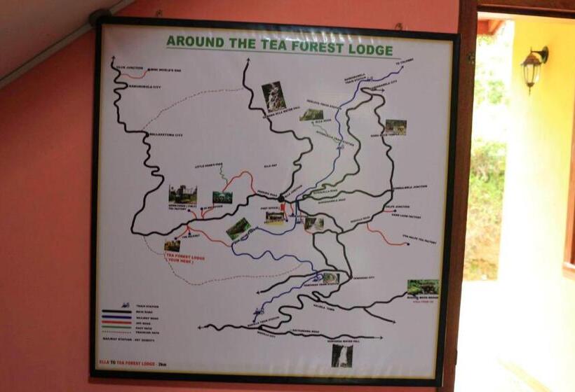 اتاق استاندارد با چشم‌انداز باغ, Tea Forest Lodge