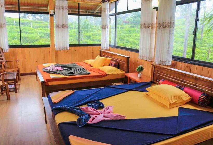 اتاق لوکس خانوادگی, Tea Forest Lodge