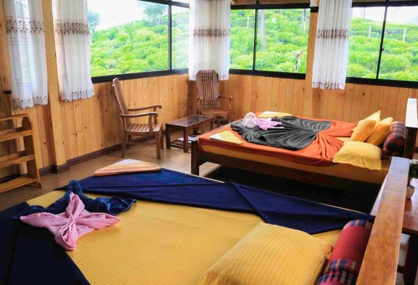 اتاق لوکس خانوادگی, Tea Forest Lodge