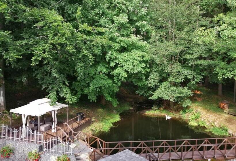 اتاق استاندارد یک نفره, Parkhotel Forest