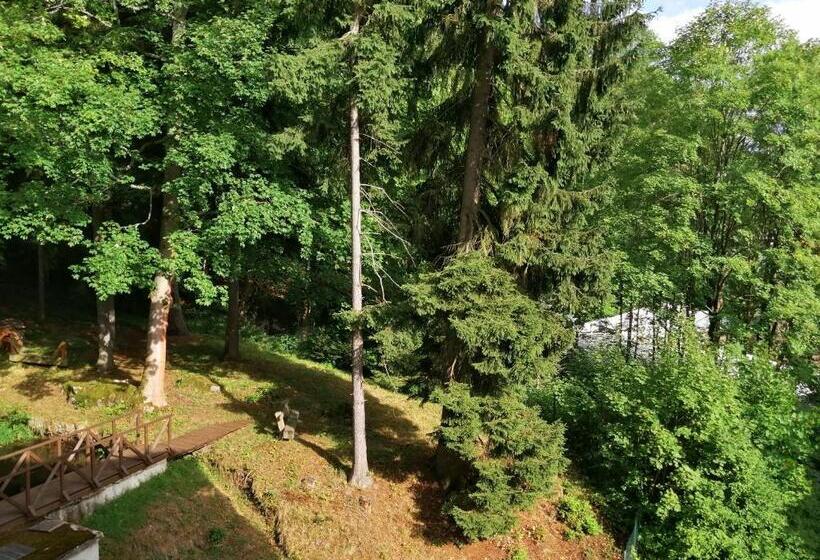 سوئیت با بالکن, Parkhotel Forest