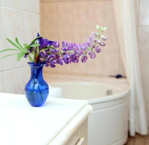 سوییت خانوادگی, Boråkra Bed & Breakfast
