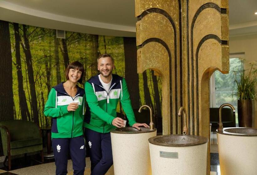 اتاق استاندارد یک نفره, Medical Spa Eglės Sanatorija Birštonas