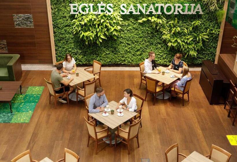 اتاق عادی, Medical Spa Eglės Sanatorija Birštonas