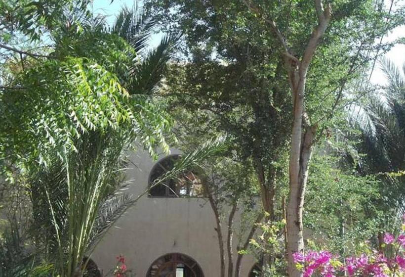 اتاق استاندارد سه نفره, Nour El Balad