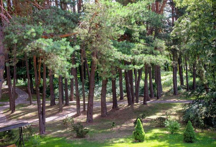 اتاق استاندارد, Pušynė