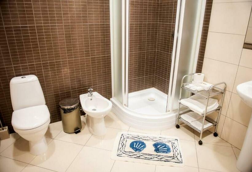 اتاق استاندارد, Vingis