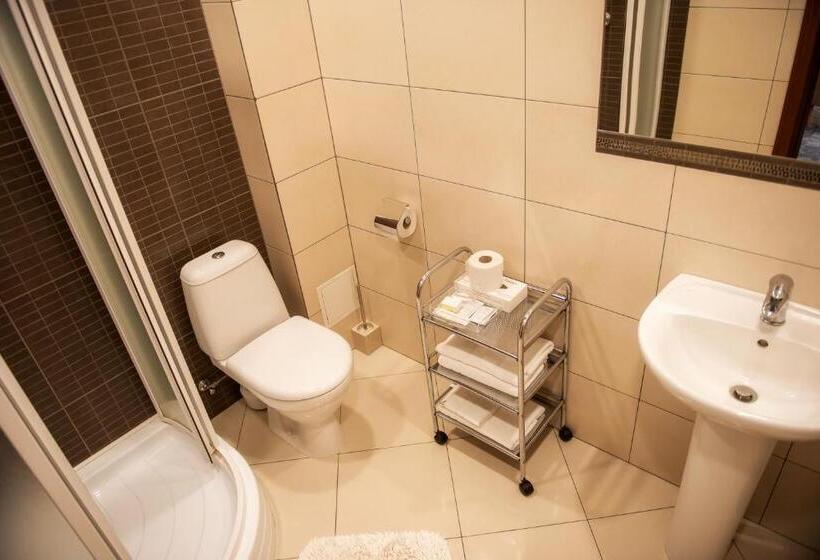اتاق استاندارد, Vingis