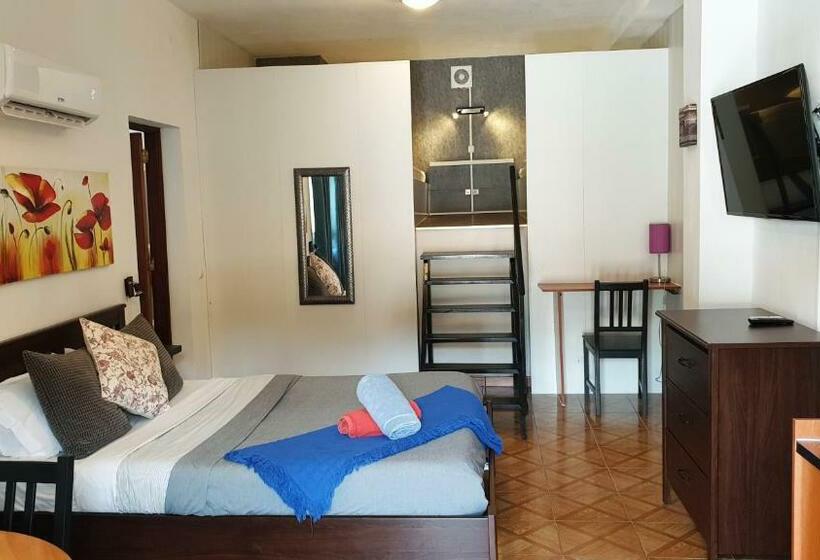 استودیوی استاندارد, Guesthouse Of Alcobaça