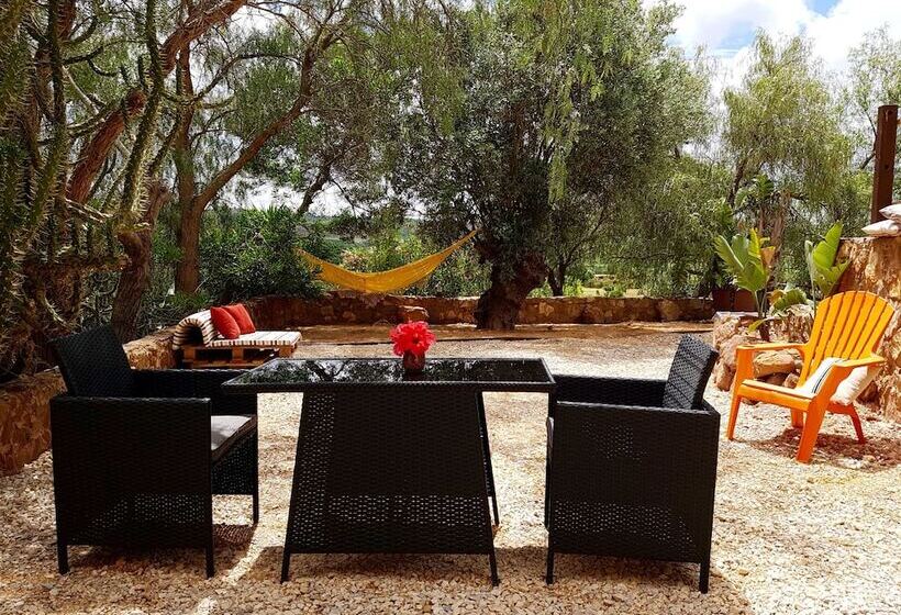استودیو استاندارد با چشم‌انداز باغ, Gato Preto De Silves  Adults Only