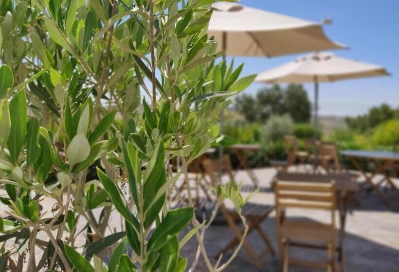 اتاق استاندارد با تخت بزرگ, Pure Flor De Esteva
