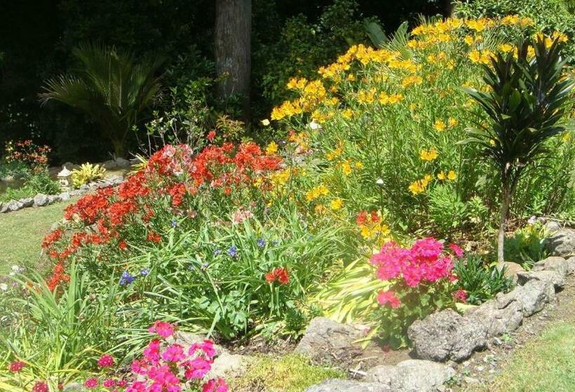 اتاق لوکس با تخت دو نفره بزرگ, By The Park B & B