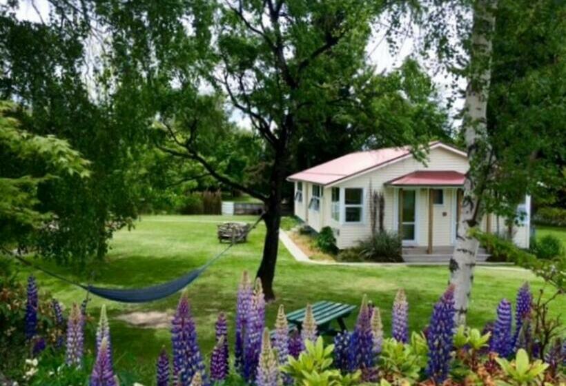 اتاق استاندارد با سرویس بهداشتی مشترک, Tailor Made Tekapo Accommodation   Hostel