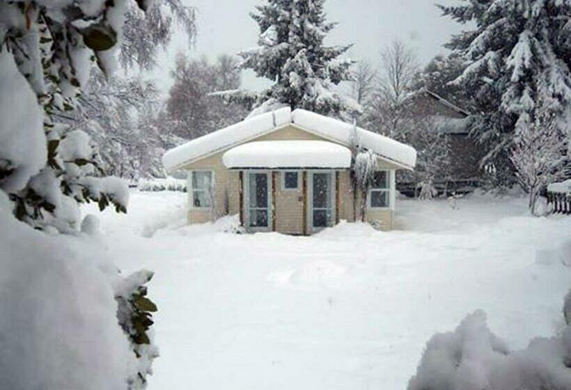 اتاق استاندارد با سرویس بهداشتی مشترک, Tailor Made Tekapo Accommodation   Hostel