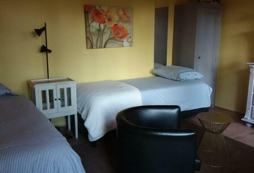 اتاق استاندارد, Regina Vught