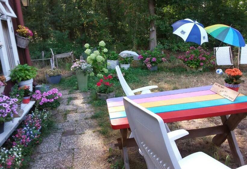 اتاق استاندارد, Regina Vught